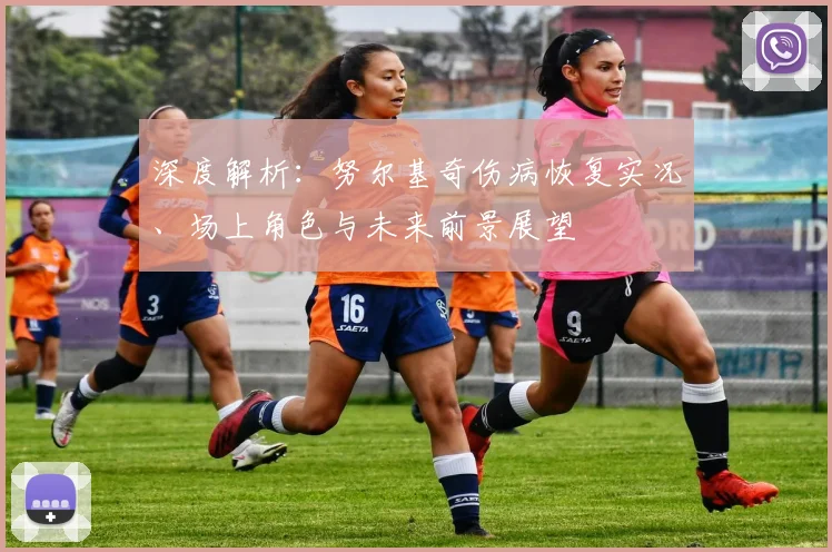 深度解析：努尔基奇伤病恢复实况、场上角色与未来前景展望